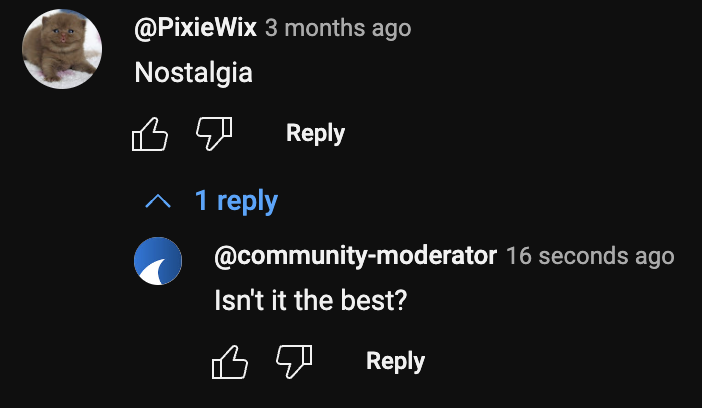 YouTube Auto Comment Moderator example